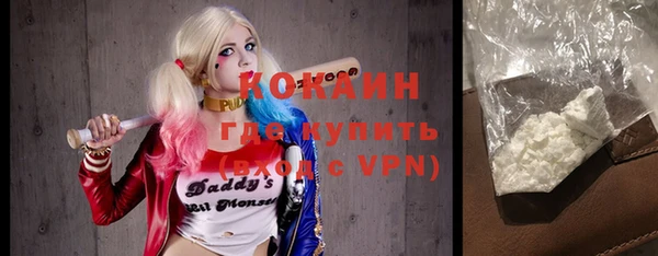 амф Вяземский