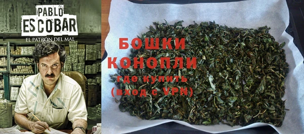 амф Вяземский