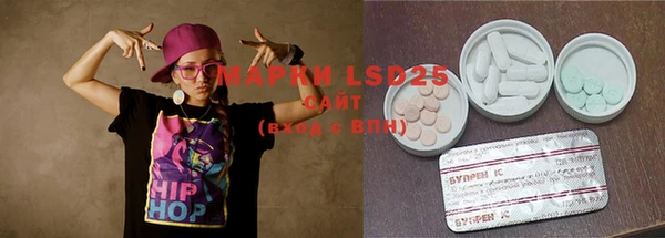 амф Вяземский