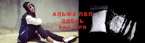твердый Володарск
