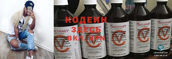 амф Вяземский